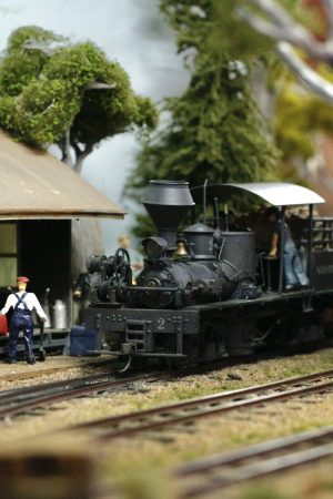 National Model Railroad Association|Bachmann Tamper - DCC with lights