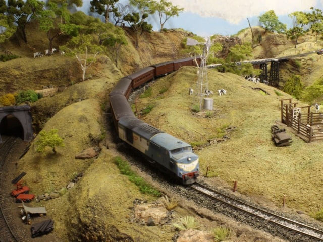 National Model Railroad Association | Arthur Hayes (QLD) NSW - QLD interchange HO/HOn42